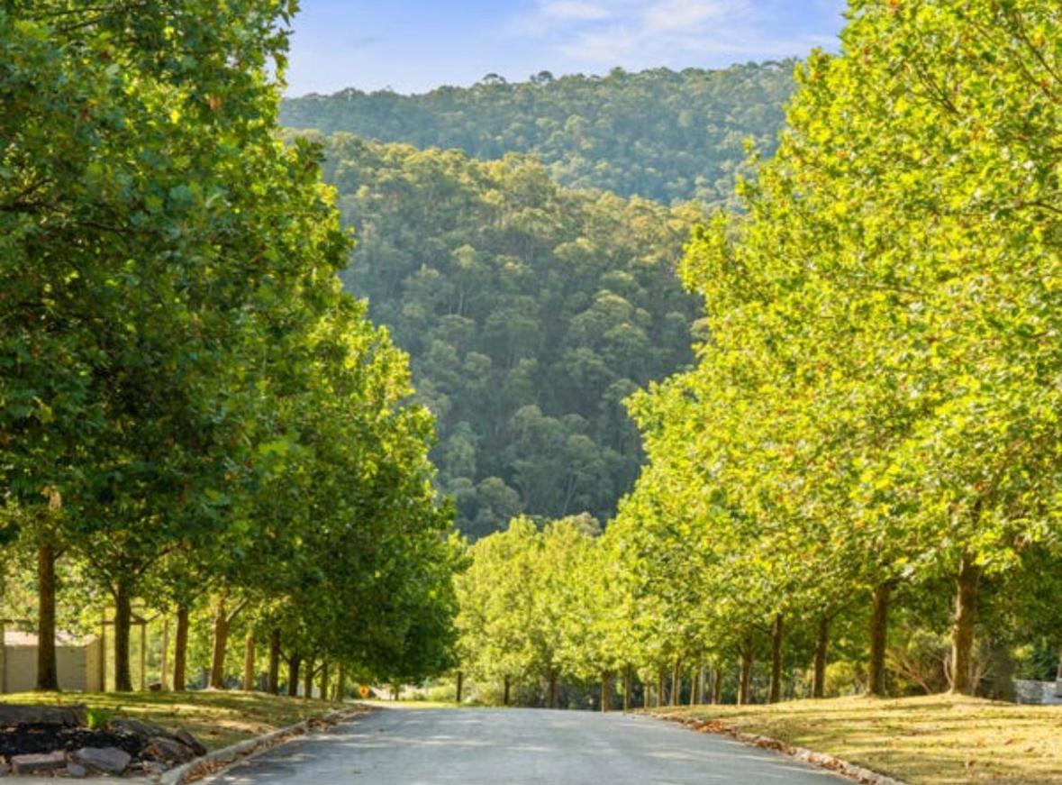 Mt Buller Stayz Merrijig Εξωτερικό φωτογραφία