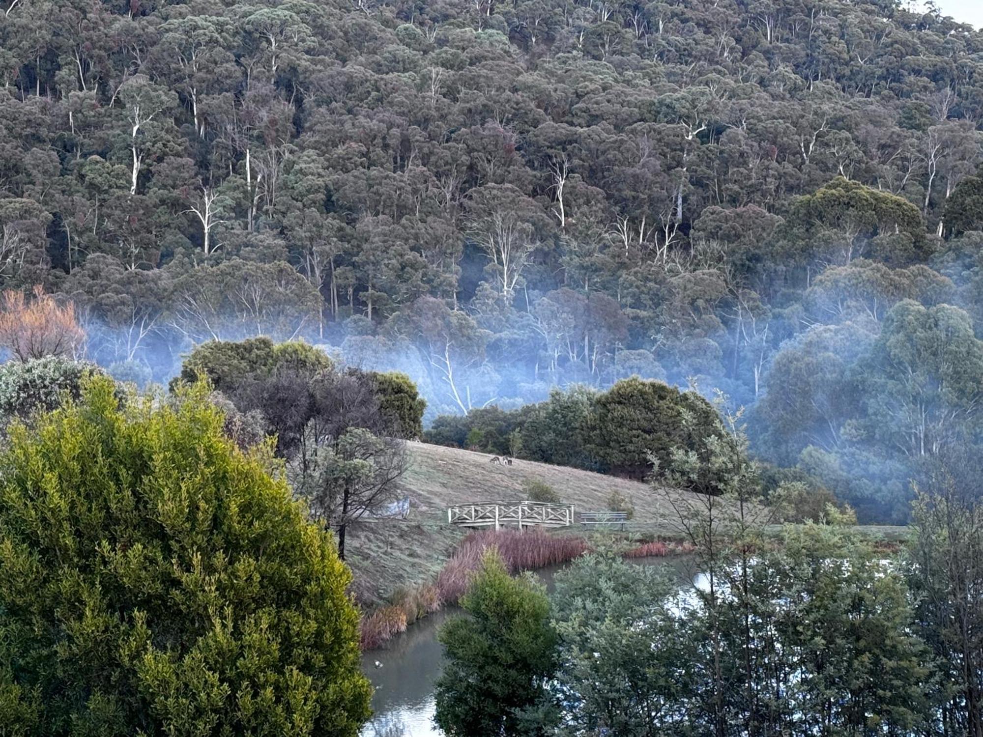 Mt Buller Stayz Merrijig Εξωτερικό φωτογραφία